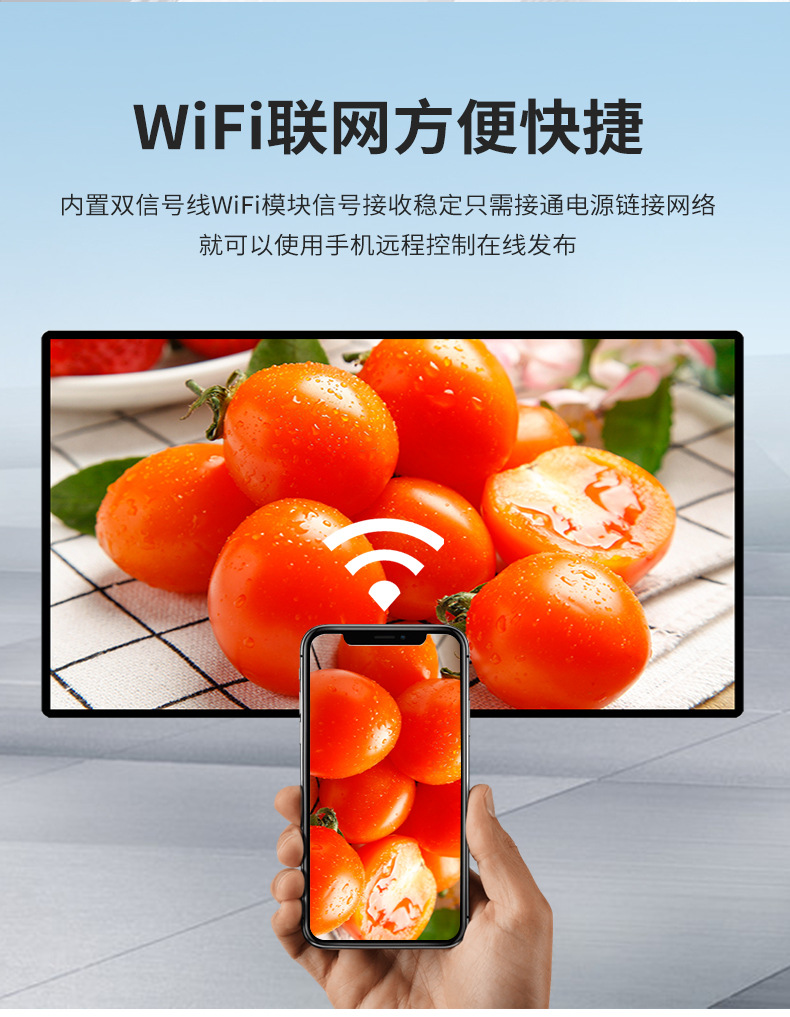 A5高清智能嵌入式廣告支持WIFI聯(lián)網功能